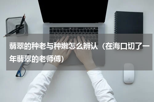 翡翠的种老与种嫩怎么辨认（在海口切了一年翡翠的老师傅）