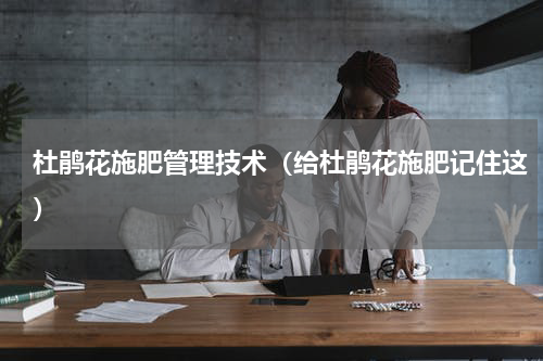 杜鹃花施肥管理技术（给杜鹃花施肥记住这）