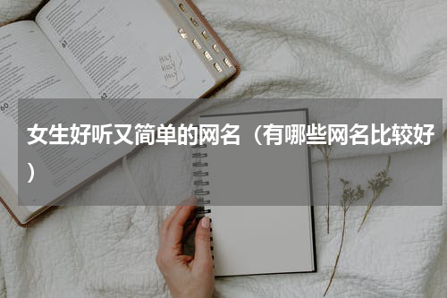 女生好听又简单的网名（有哪些网名比较好）