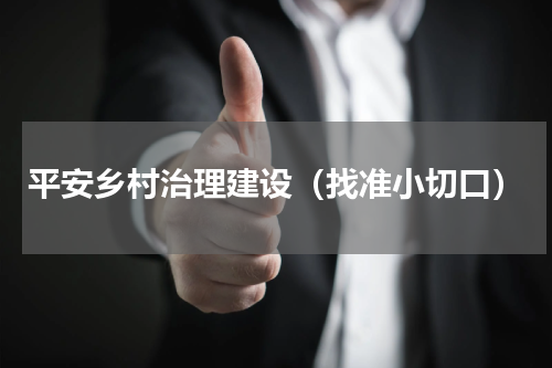 平安乡村治理建设（找准小切口）