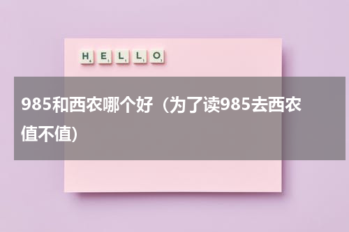 985和西农哪个好（为了读985去西农值不值）
