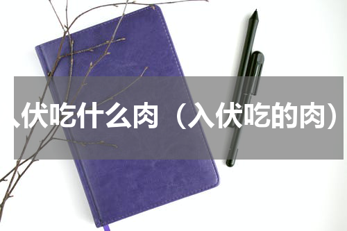 入伏吃什么肉（入伏吃的肉）