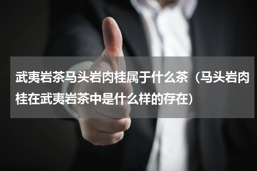 武夷岩茶马头岩肉桂属于什么茶（马头岩肉桂在武夷岩茶中是什么样的存在）