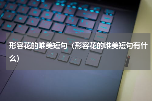 形容花的唯美短句（形容花的唯美短句有什么）
