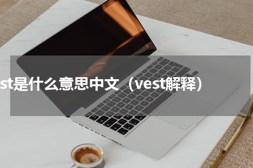 vest是什么意思中文（vest解释）