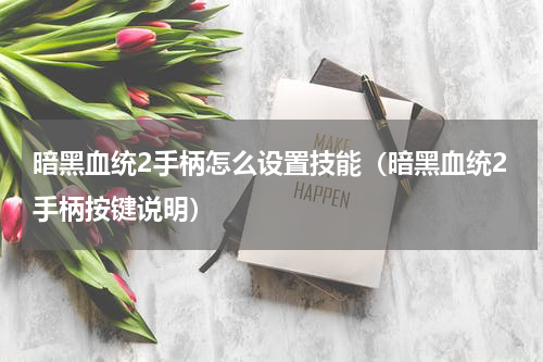暗黑血统2手柄怎么设置技能（暗黑血统2手柄按键说明）
