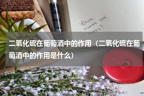 二氧化硫在葡萄酒中的作用（二氧化硫在葡萄酒中的作用是什么）