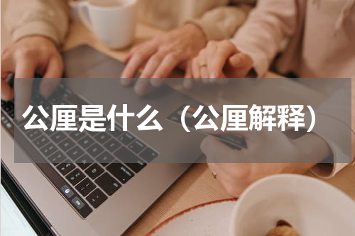 公厘是什么（公厘解释）
