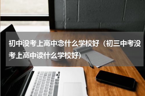 初中没考上高中念什么学校好（初三中考没考上高中读什么学校好）