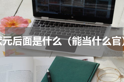 状元后面是什么（能当什么官）