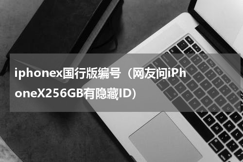 iphonex国行版编号（网友问iPhoneX256GB有隐藏ID）