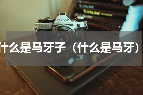 什么是马牙子（什么是马牙）