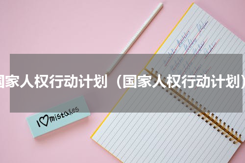 国家人权行动计划（国家人权行动计划）