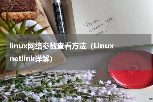 linux网络参数查看方法（Linuxnetlink详解）