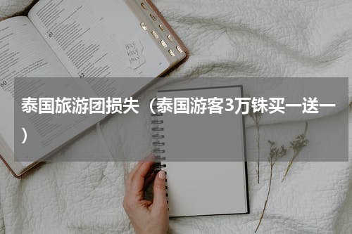 泰国旅游团损失（泰国游客3万铢买一送一）