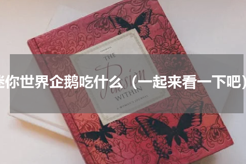 迷你世界企鹅吃什么（一起来看一下吧）