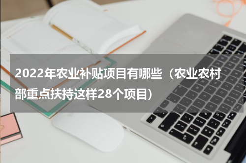 2022年农业补贴项目有哪些（农业农村部重点扶持这样28个项目）