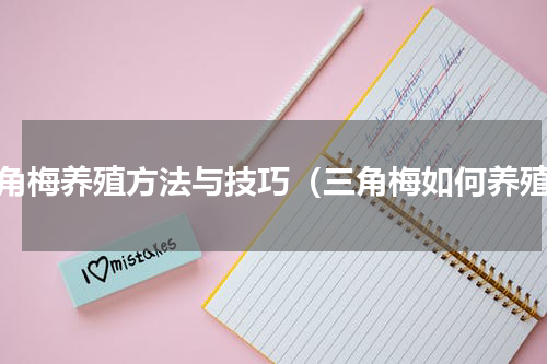 三角梅养殖方法与技巧（三角梅如何养殖）