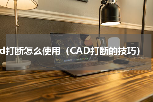 cad打断怎么使用（CAD打断的技巧）