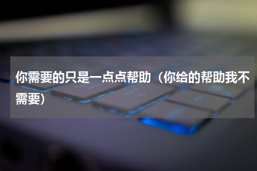 你需要的只是一点点帮助（你给的帮助我不需要）