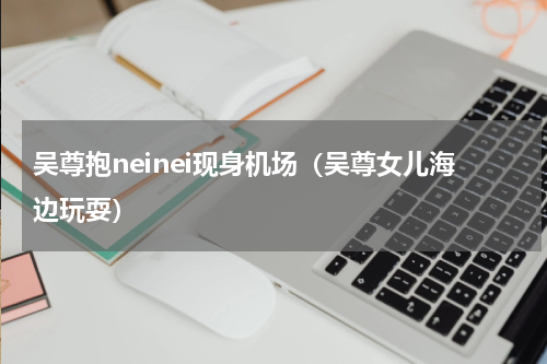 吴尊抱neinei现身机场（吴尊女儿海边玩耍）