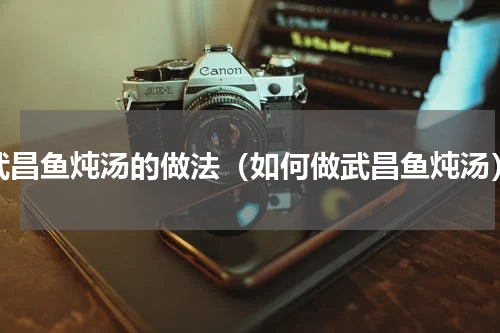 武昌鱼炖汤的做法（如何做武昌鱼炖汤）