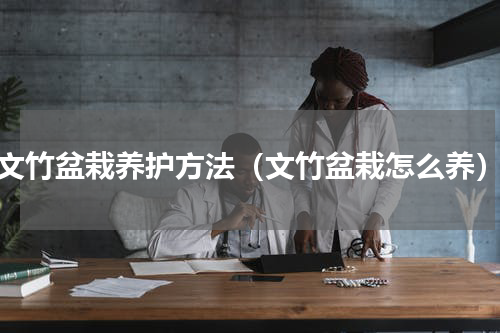 文竹盆栽养护方法（文竹盆栽怎么养）