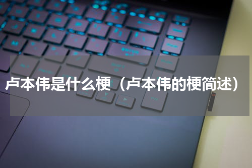 卢本伟是什么梗（卢本伟的梗简述）