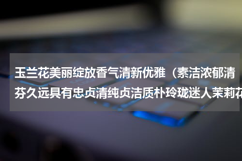 玉兰花美丽绽放香气清新优雅（素洁浓郁清芬久远具有忠贞清纯贞洁质朴玲珑迷人茉莉花的分类）
