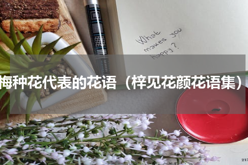 梅种花代表的花语（梓见花颜花语集）