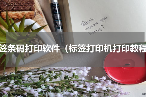 标签条码打印软件（标签打印机打印教程）