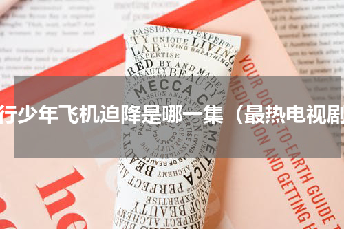 飞行少年飞机迫降是哪一集（最热电视剧）