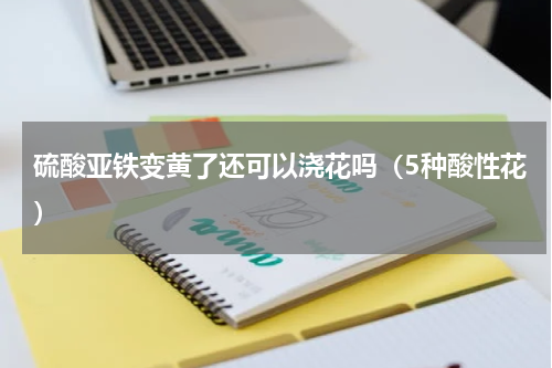 硫酸亚铁变黄了还可以浇花吗（5种酸性花）