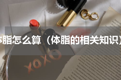 体脂怎么算（体脂的相关知识）