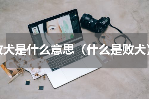 败犬是什么意思（什么是败犬）