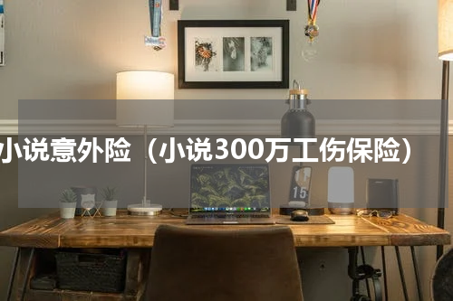 小说意外险（小说300万工伤保险）