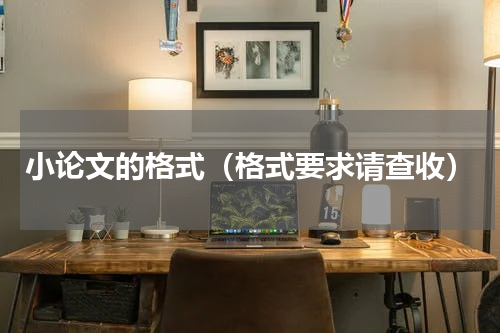 小论文的格式（格式要求请查收）