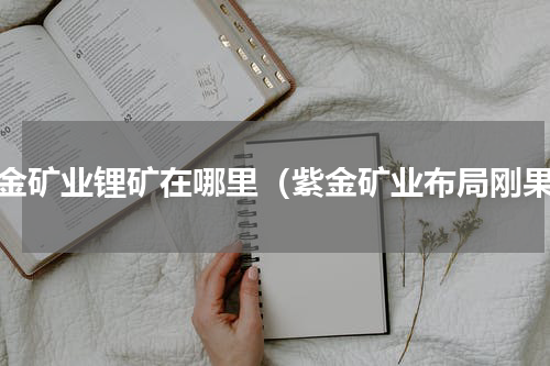 紫金矿业锂矿在哪里（紫金矿业布局刚果）