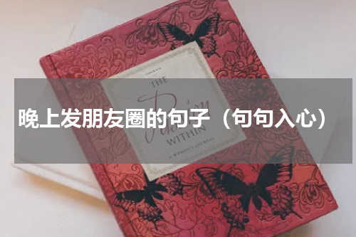 晚上发朋友圈的句子（句句入心）