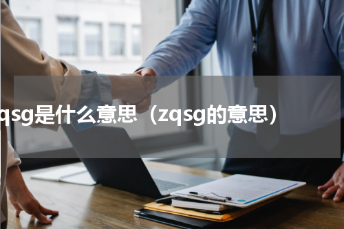 zqsg是什么意思（zqsg的意思）