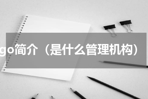 ngo简介（是什么管理机构）