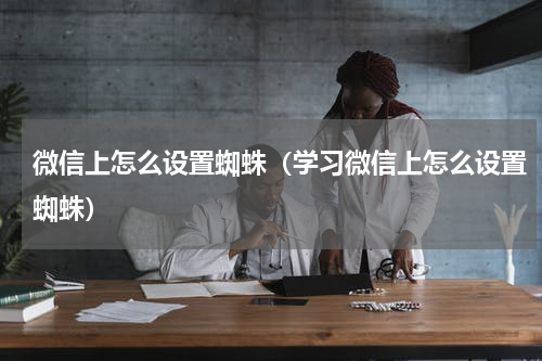 微信上怎么设置蜘蛛（学习微信上怎么设置蜘蛛）
