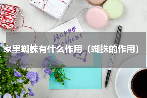家里蜘蛛有什么作用（蜘蛛的作用）