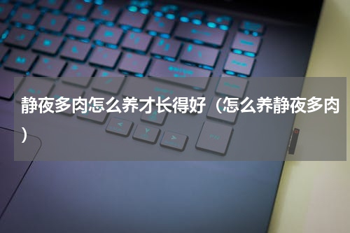 静夜多肉怎么养才长得好（怎么养静夜多肉）