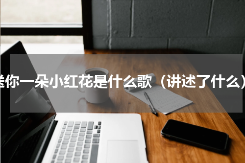 送你一朵小红花是什么歌（讲述了什么）