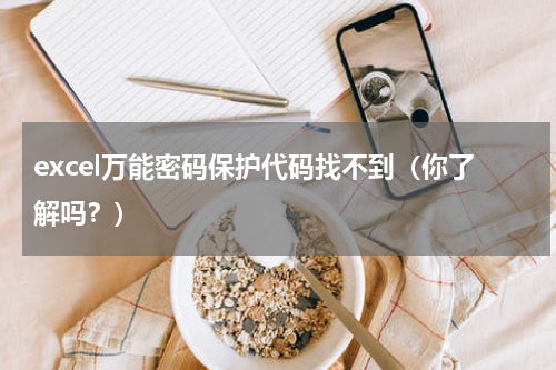 excel万能密码保护代码找不到（你了解吗？）