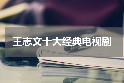 王志文十大经典电视剧