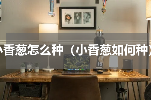 小香葱怎么种（小香葱如何种）