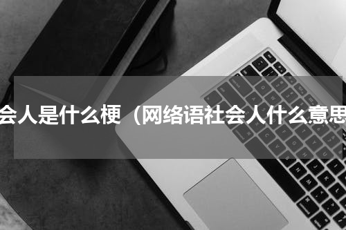 社会人是什么梗（网络语社会人什么意思）