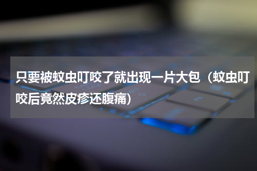 只要被蚊虫叮咬了就出现一片大包（蚊虫叮咬后竟然皮疹还腹痛）